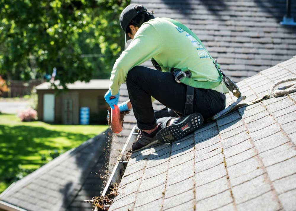 BC Mowing & More gutter cleaning