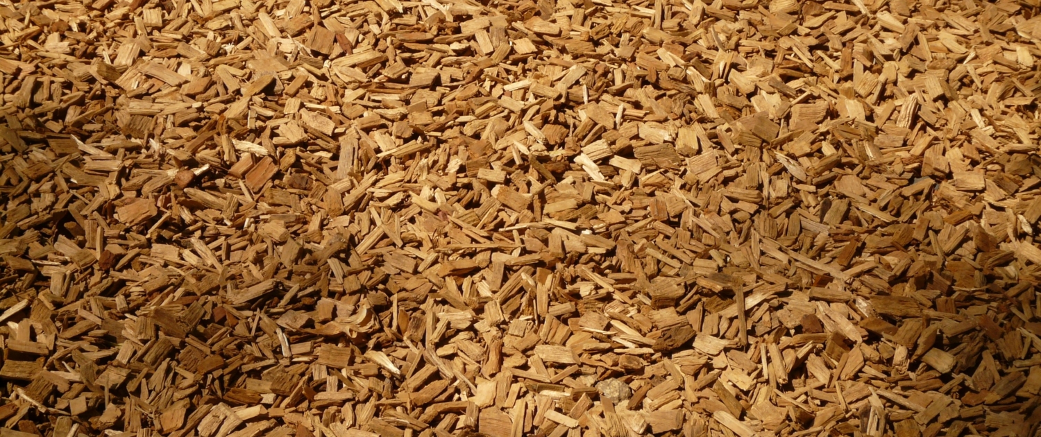 Harnessing the Benefits of Free Mulch from Autumn Leaves