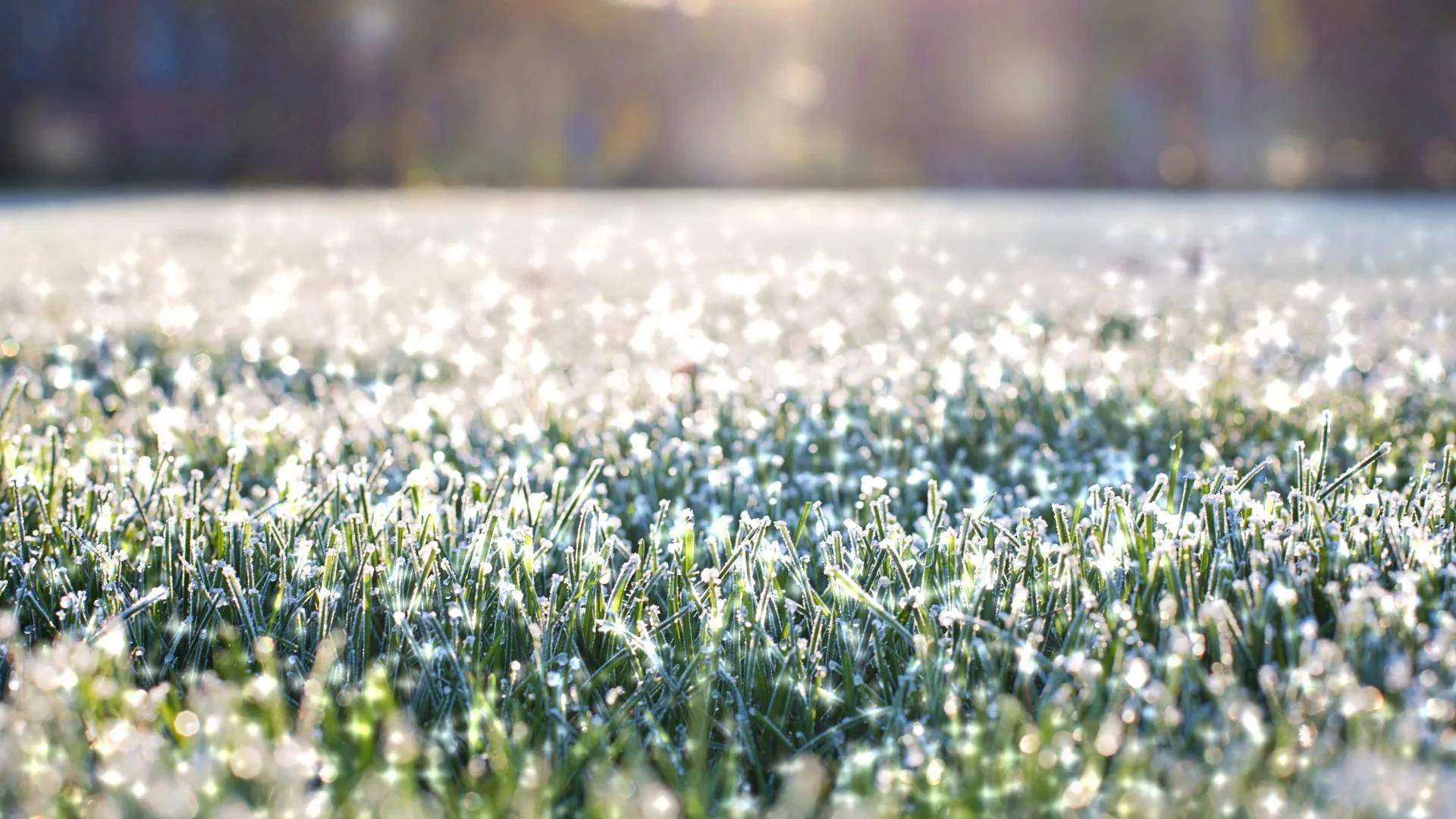 The Benefits of Aerating Your Lawn in Winter
