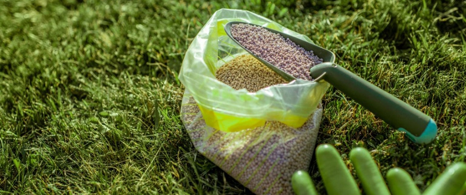 Navigating Nutrient Needs in BC