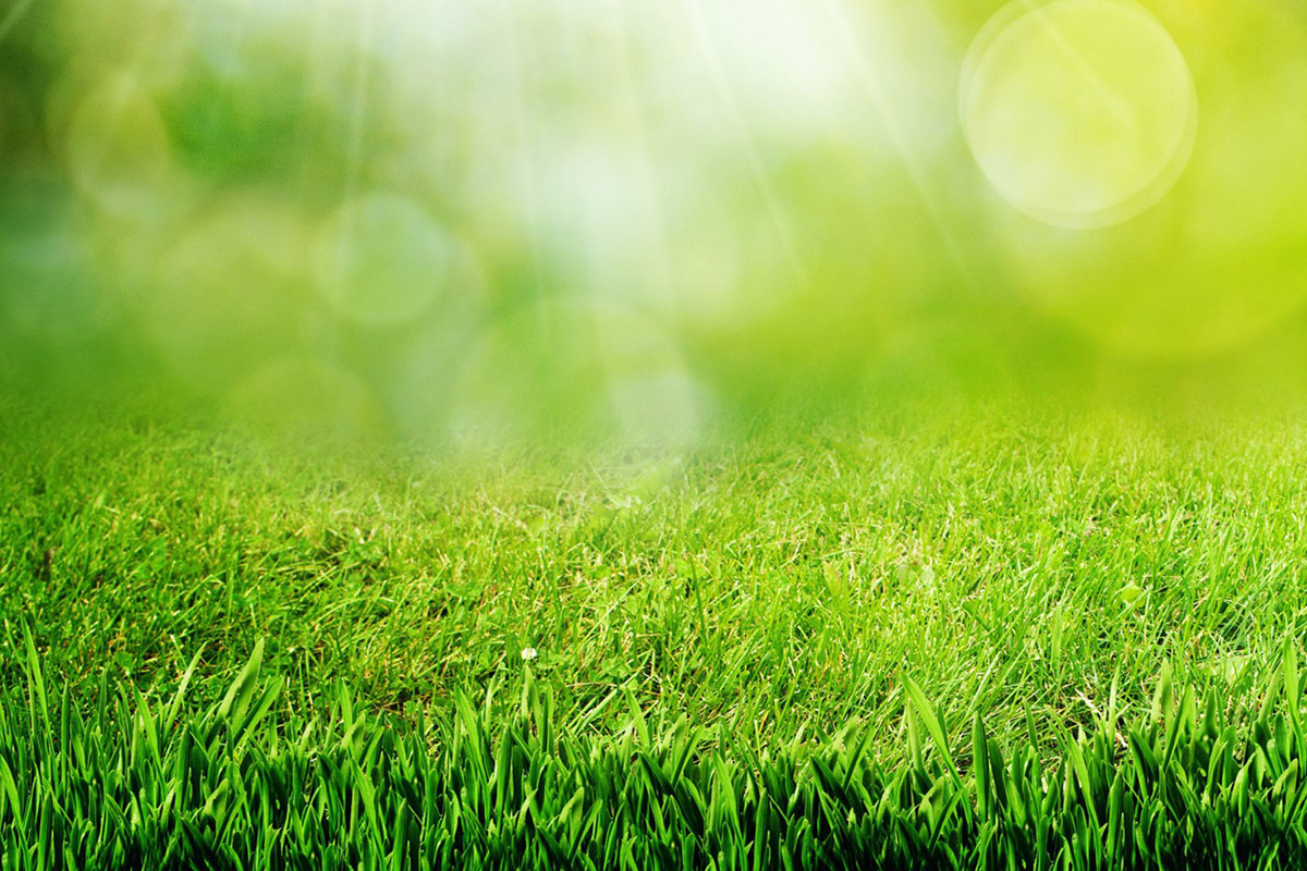 Spring-Planning-for-British-Columbia-featured Spring Planning for British Columbia