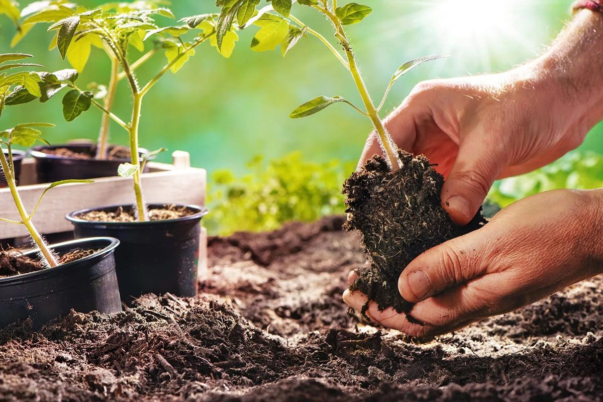 Gardening-for-Health-and-Well-being-featured