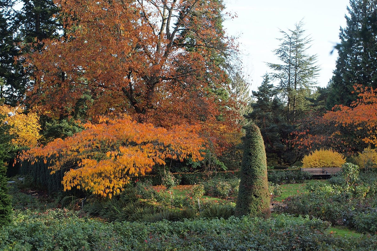 Fall-Landscape-Project-featured Fall Landscaping Projects