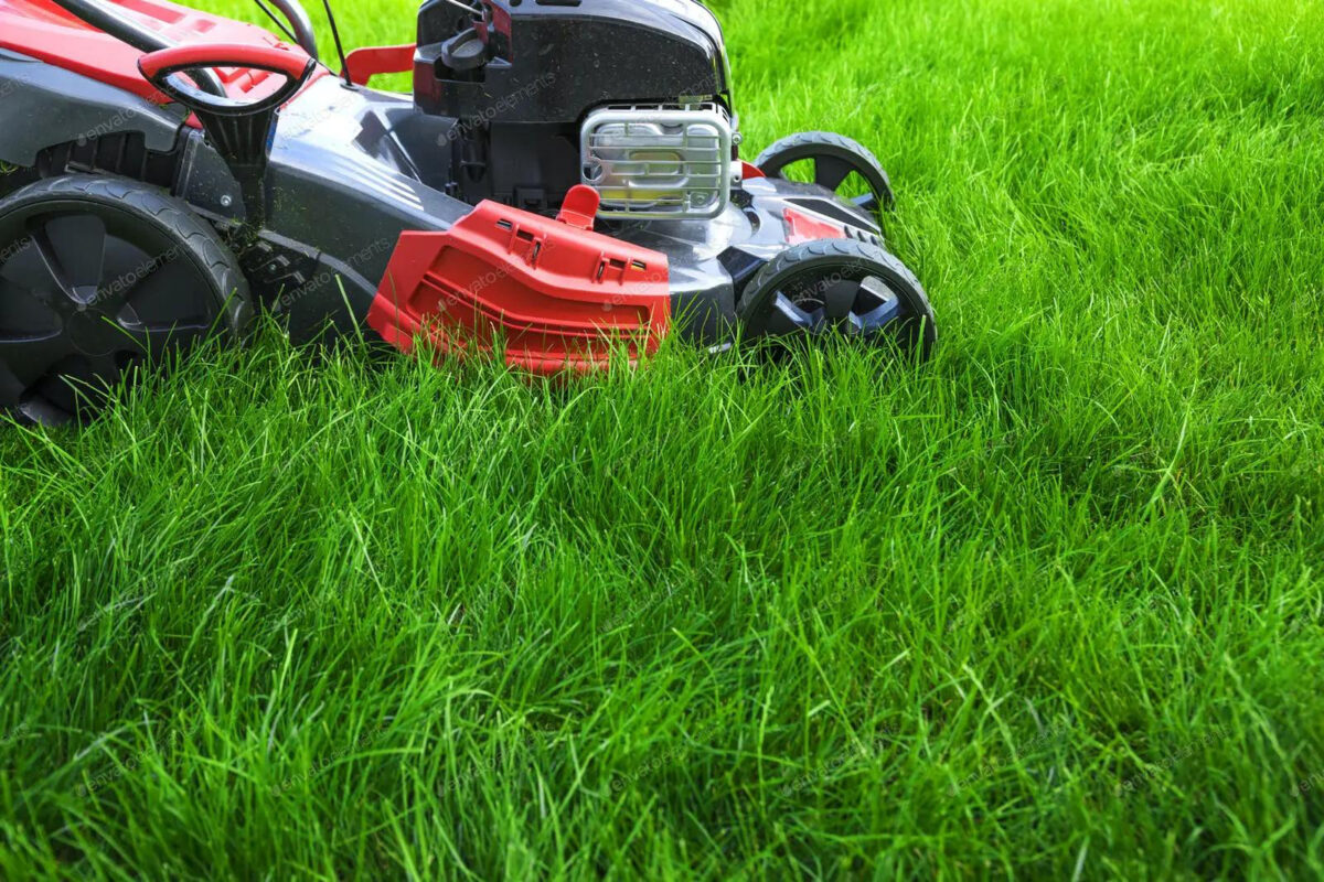 Mowing Techniques