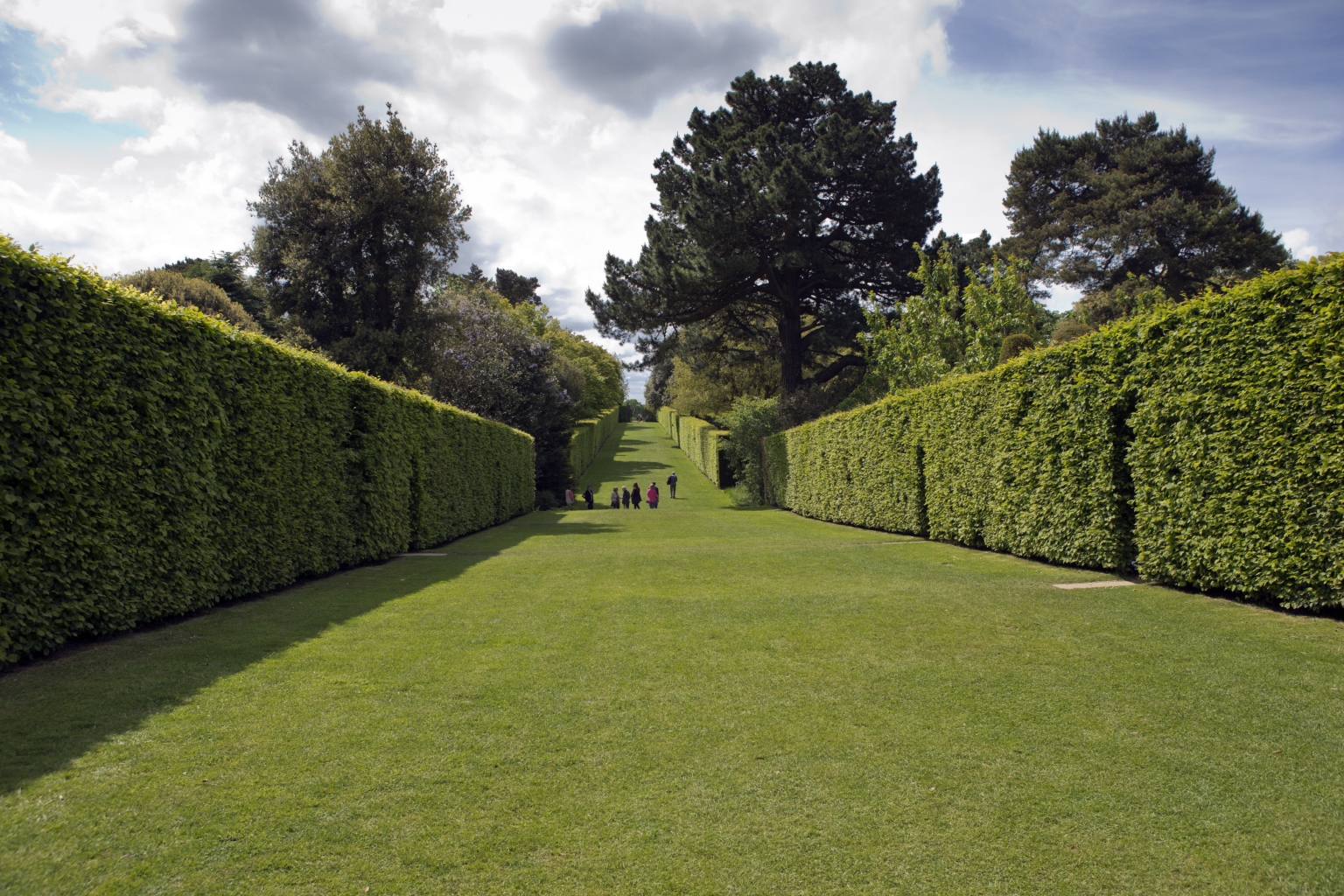 Correct Hedge Trimming and Cutting Techniques - Greenlii Lawn & Landscape
