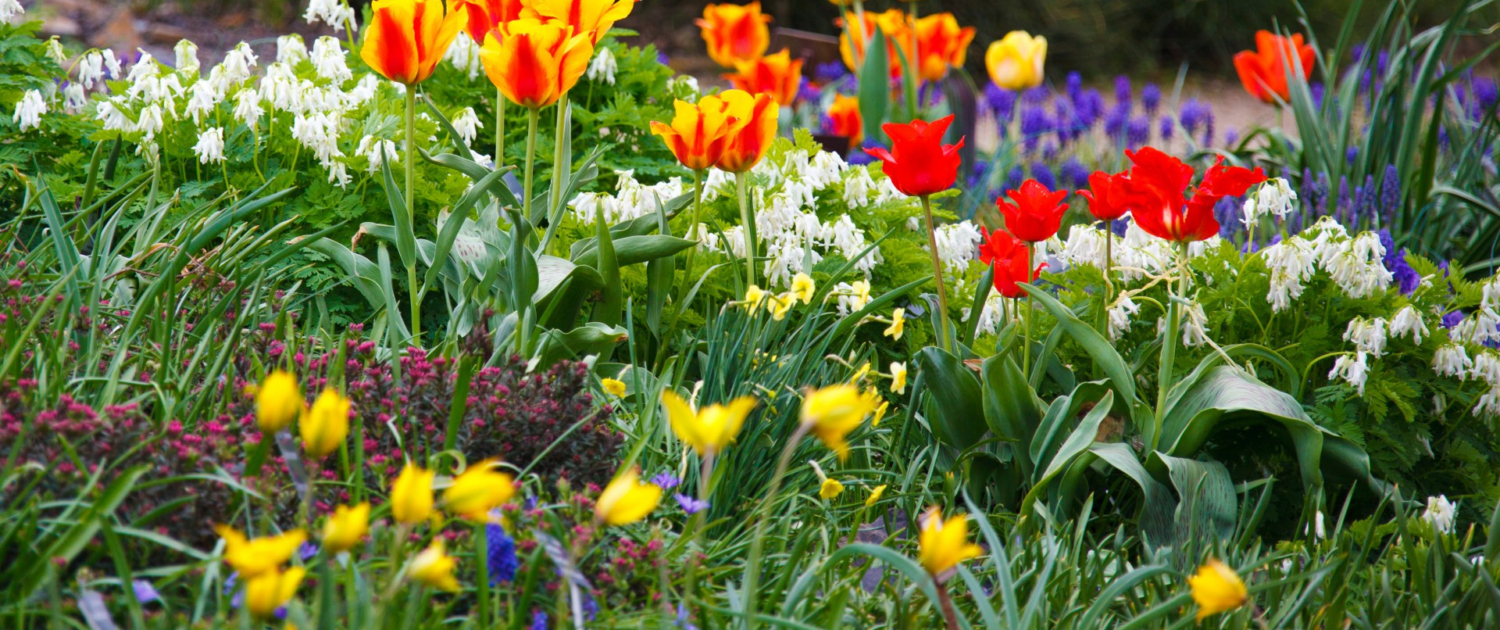 Include Lawn Care and Garden Maintenance for Rental Properties