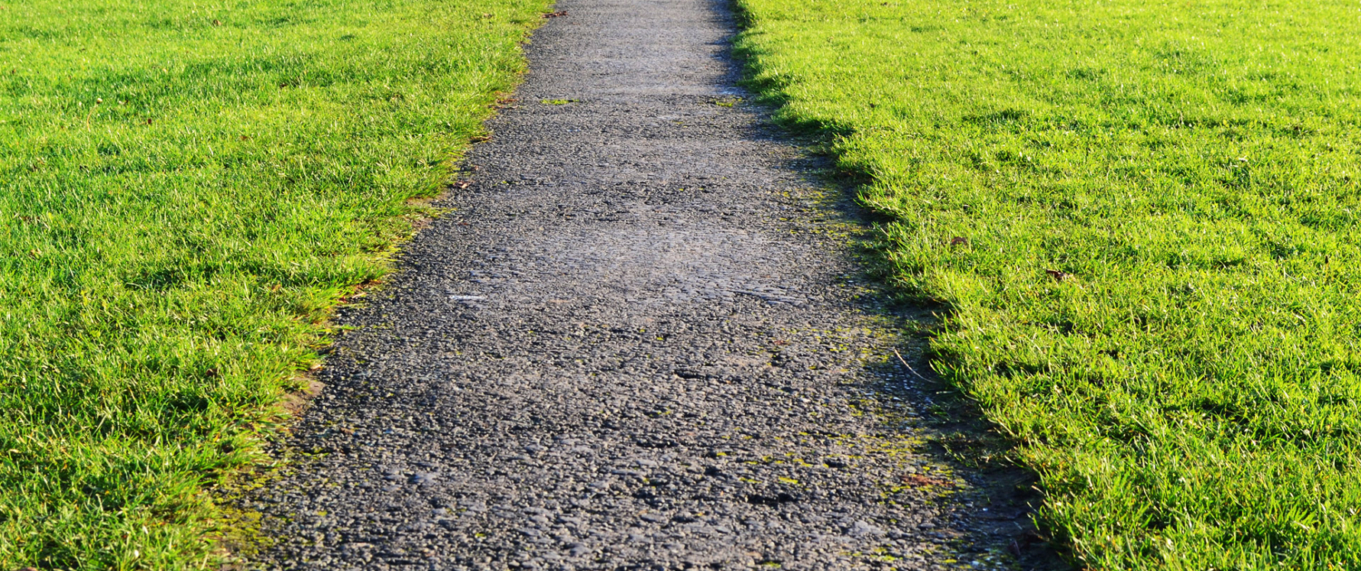 4 Reasons to Invest in Professional Lawn Mowing Services (2)