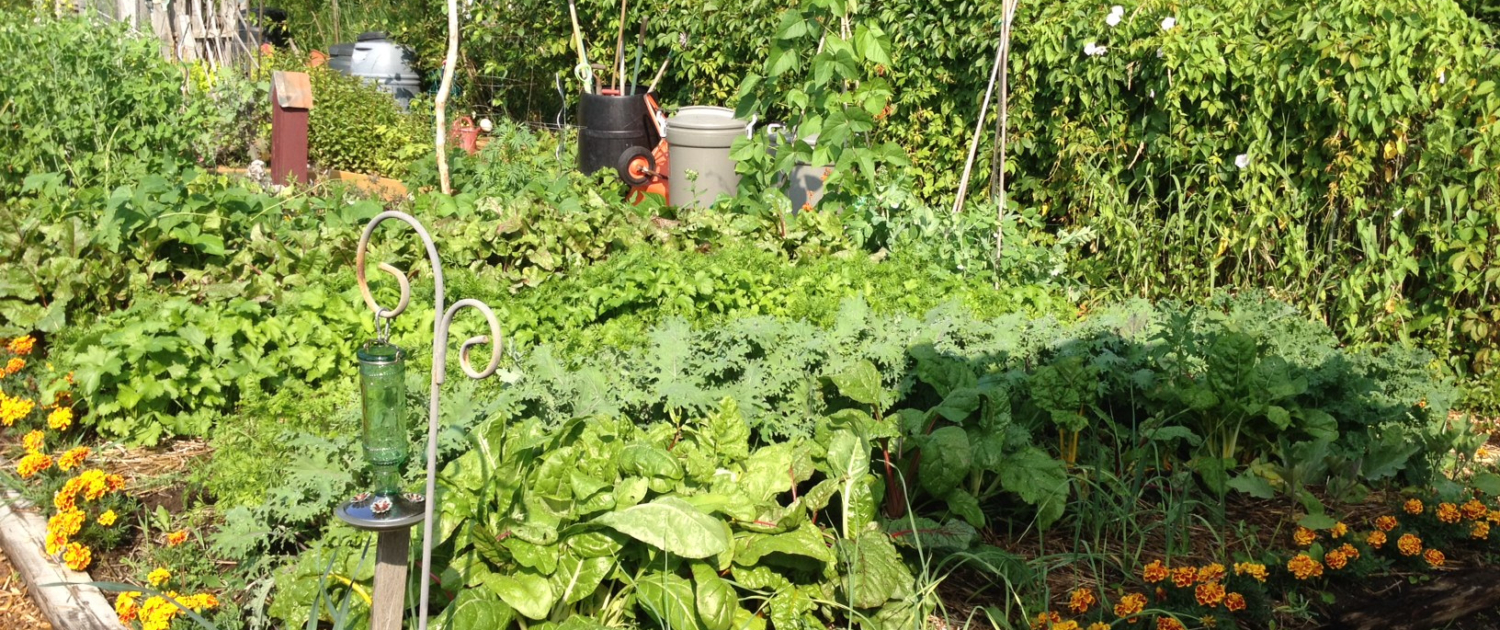 Choose an Appropriate Vegetables