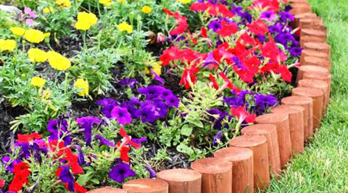 Borders: Defining Spaces and Adding Structure