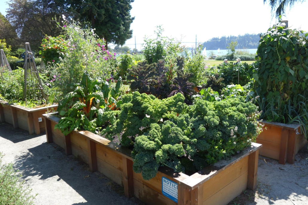 Choose a location to start your garden