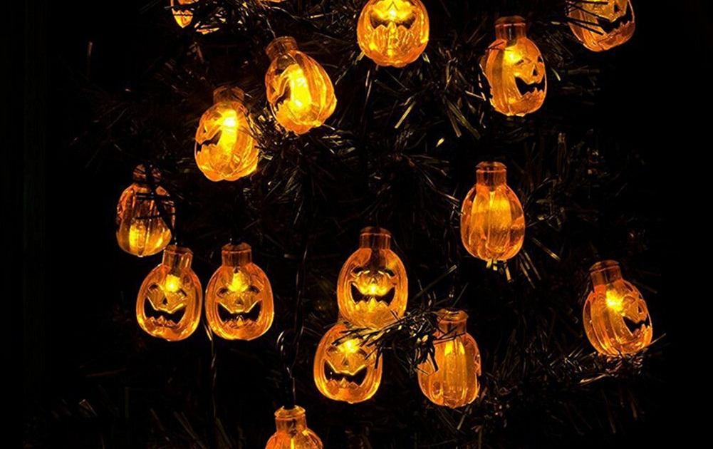 Enchanted Fairy Lights