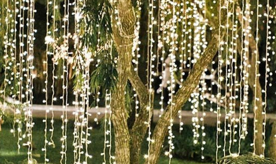 Enchanting Fairy Lights