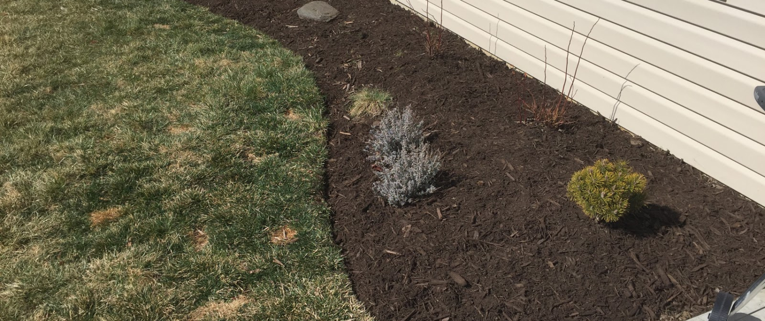 Enriching Soil for Optimal Growth