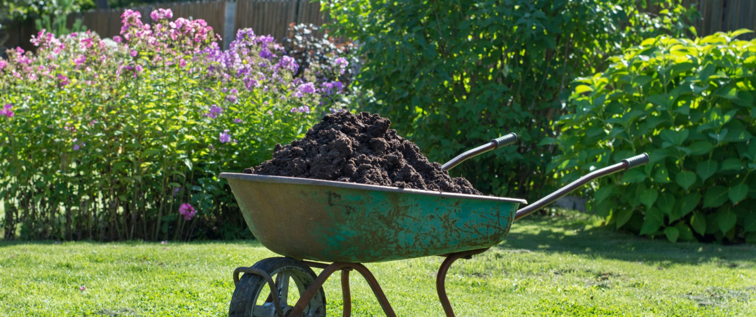 Precautions and Environmental Considerations