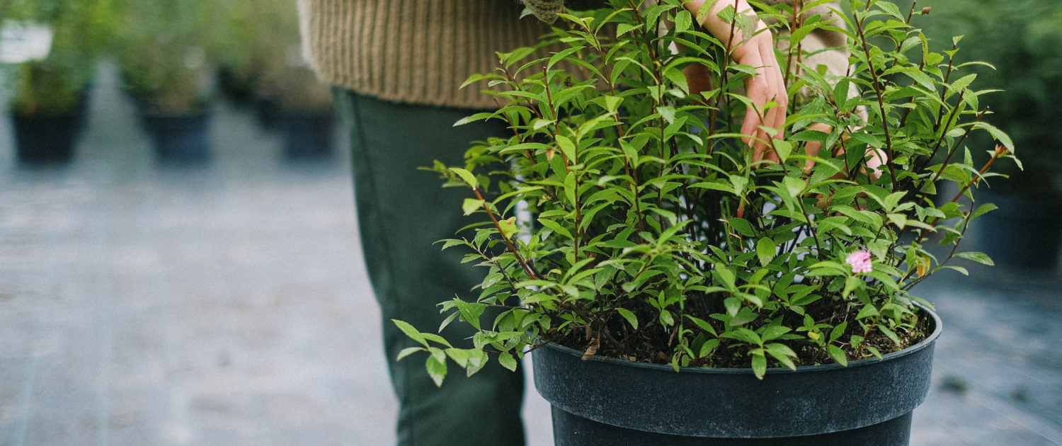 Experience and Expertise