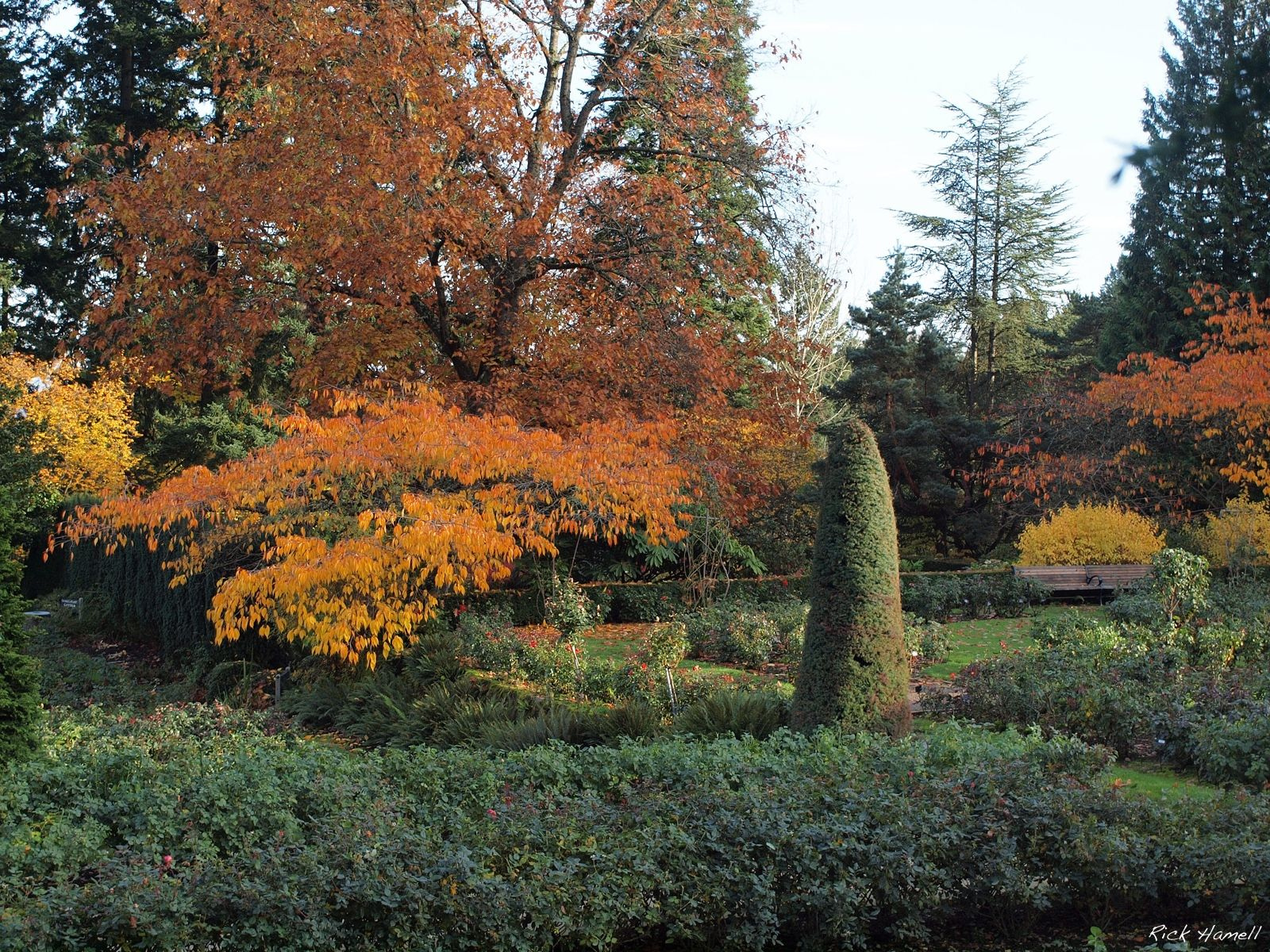 Fall Landscaping Projects