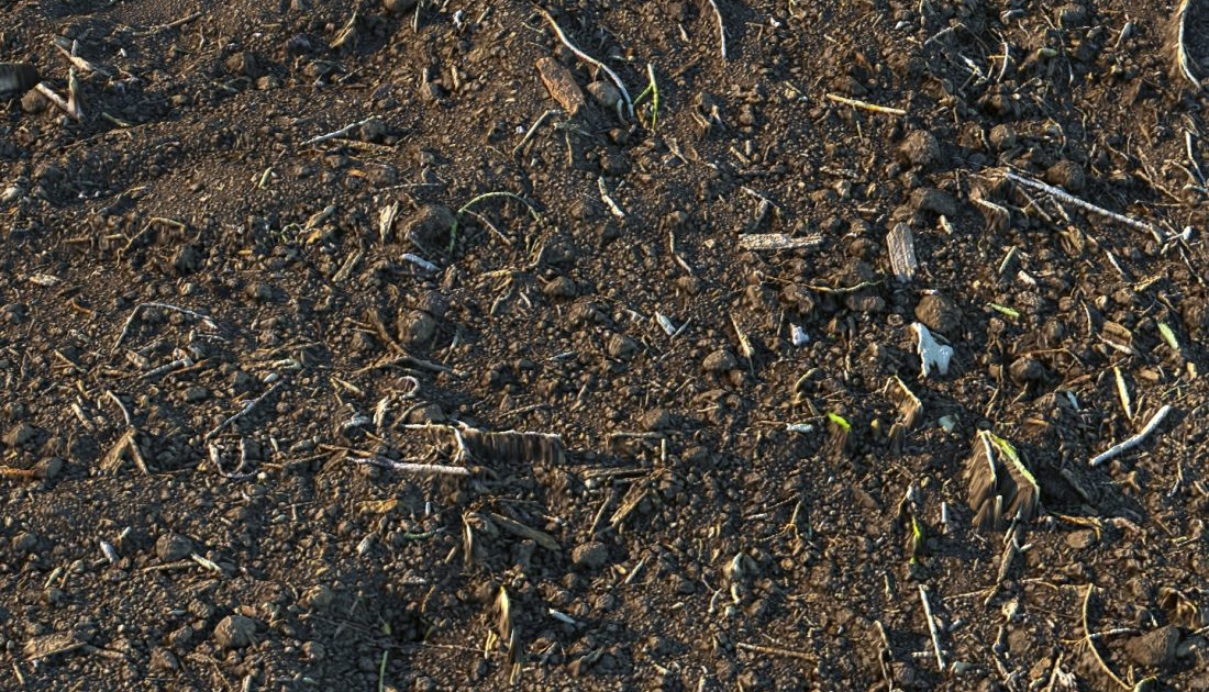 Fertilization and Soil Health