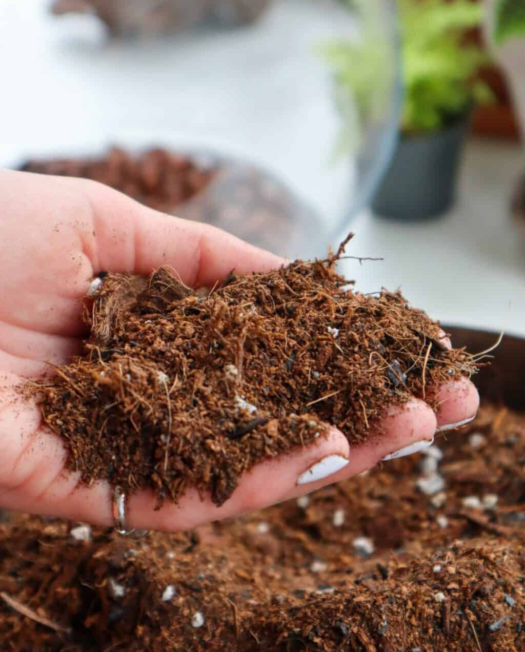 Check and Balance Your Soil pH Check and Balance Your Soil pH