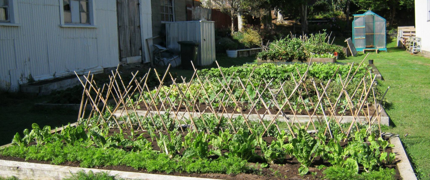 Protective Coverings and Windbreaks