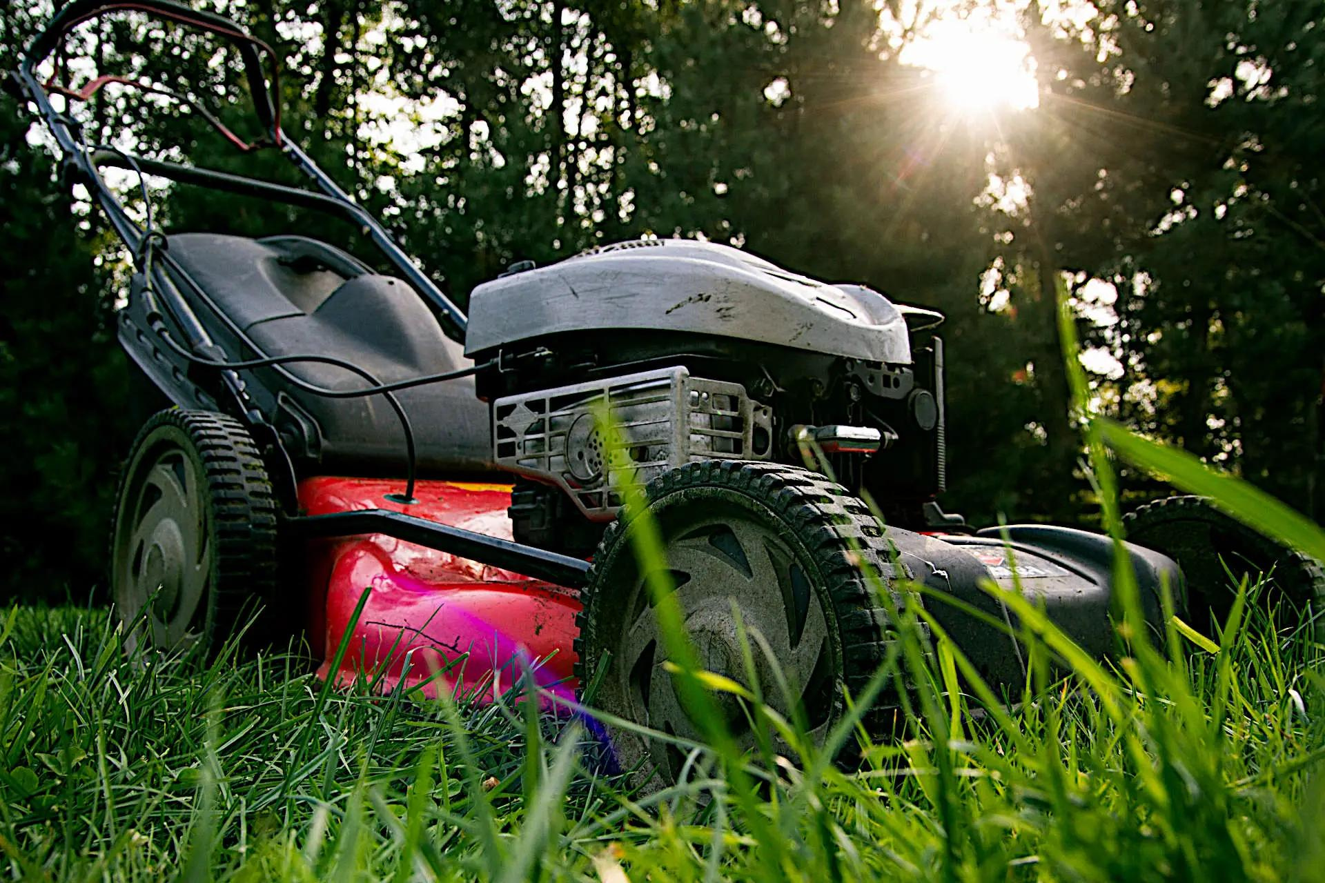 Things to Consider when Hiring a Landscaping Contractor