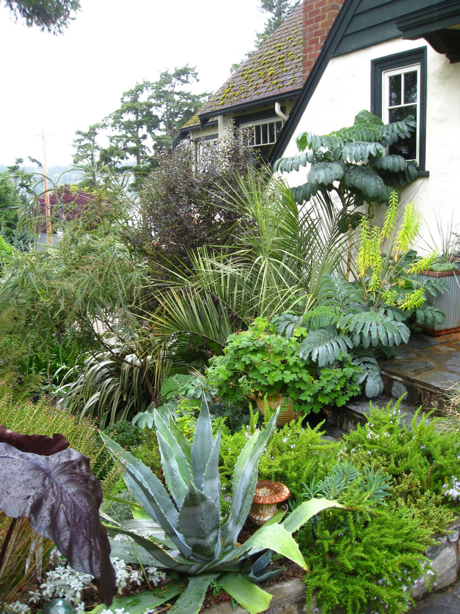 Know Your Plants Know Your Plants
