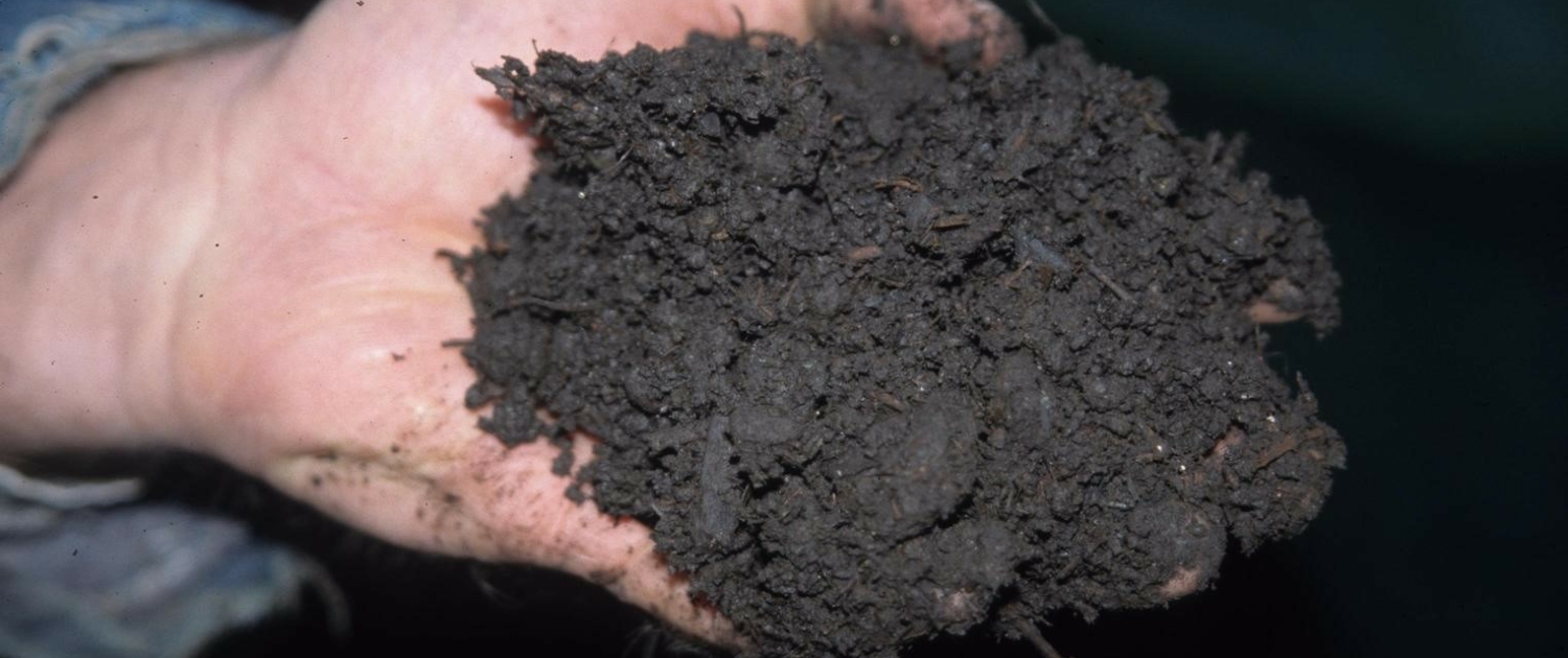 Moisture Conservation in Varied Climates