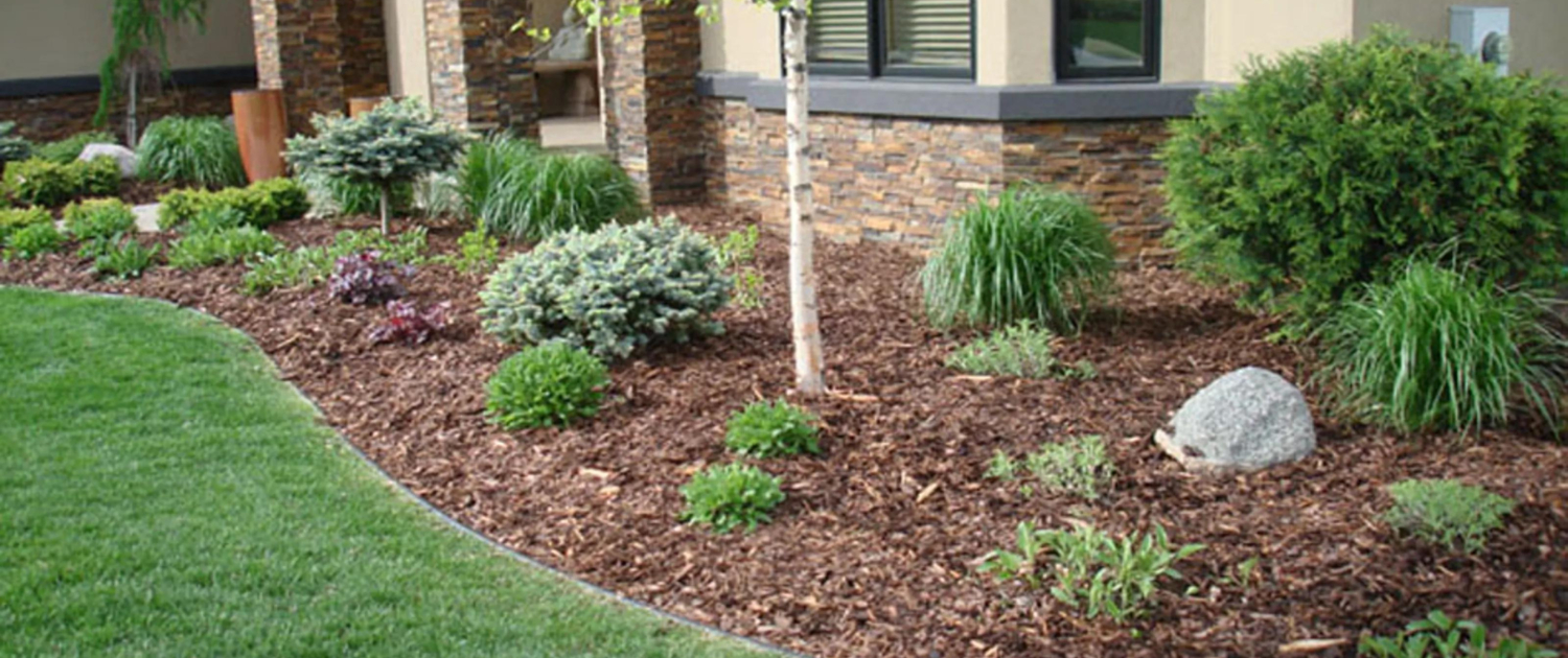 A Visual Symphony of Natural Beauty