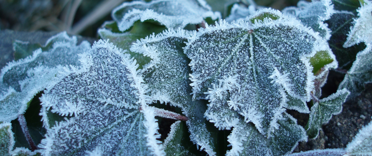 Monitoring Weather Conditions