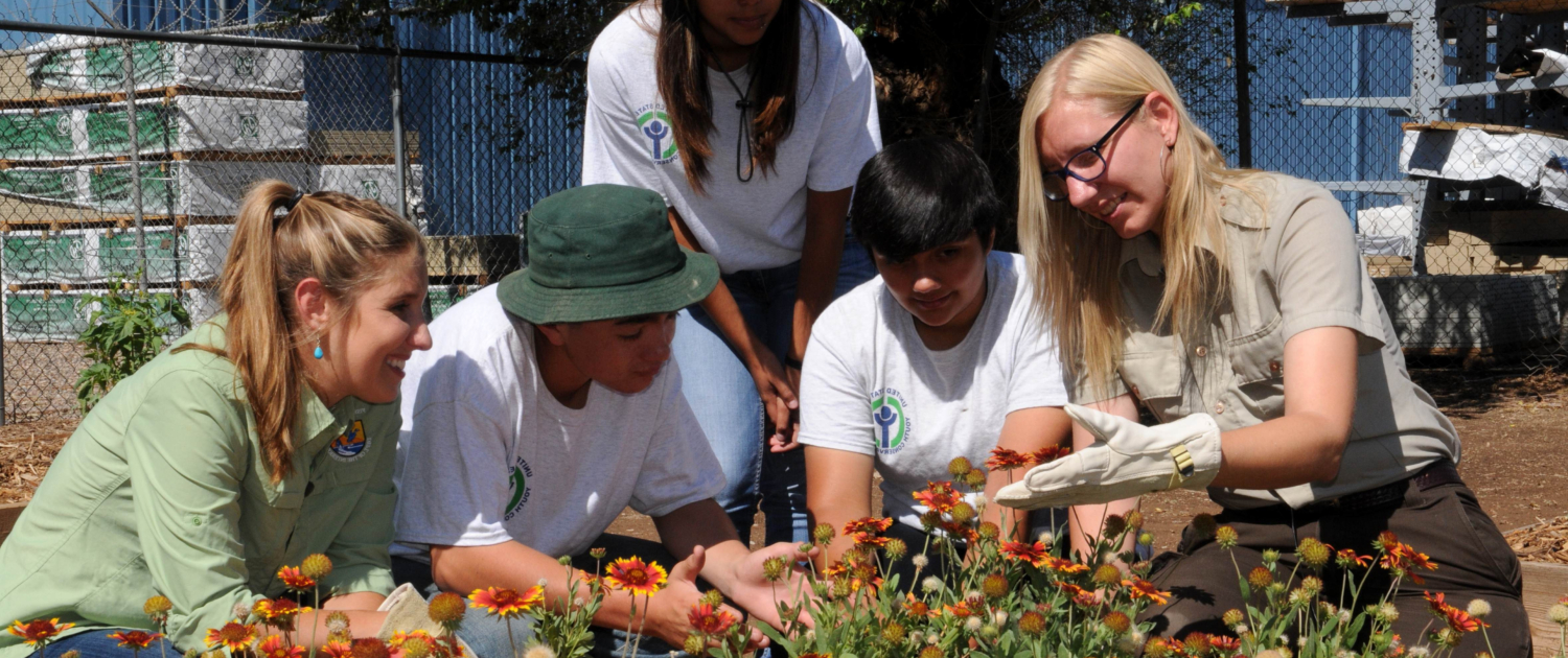 Social Interaction and Community Engagement