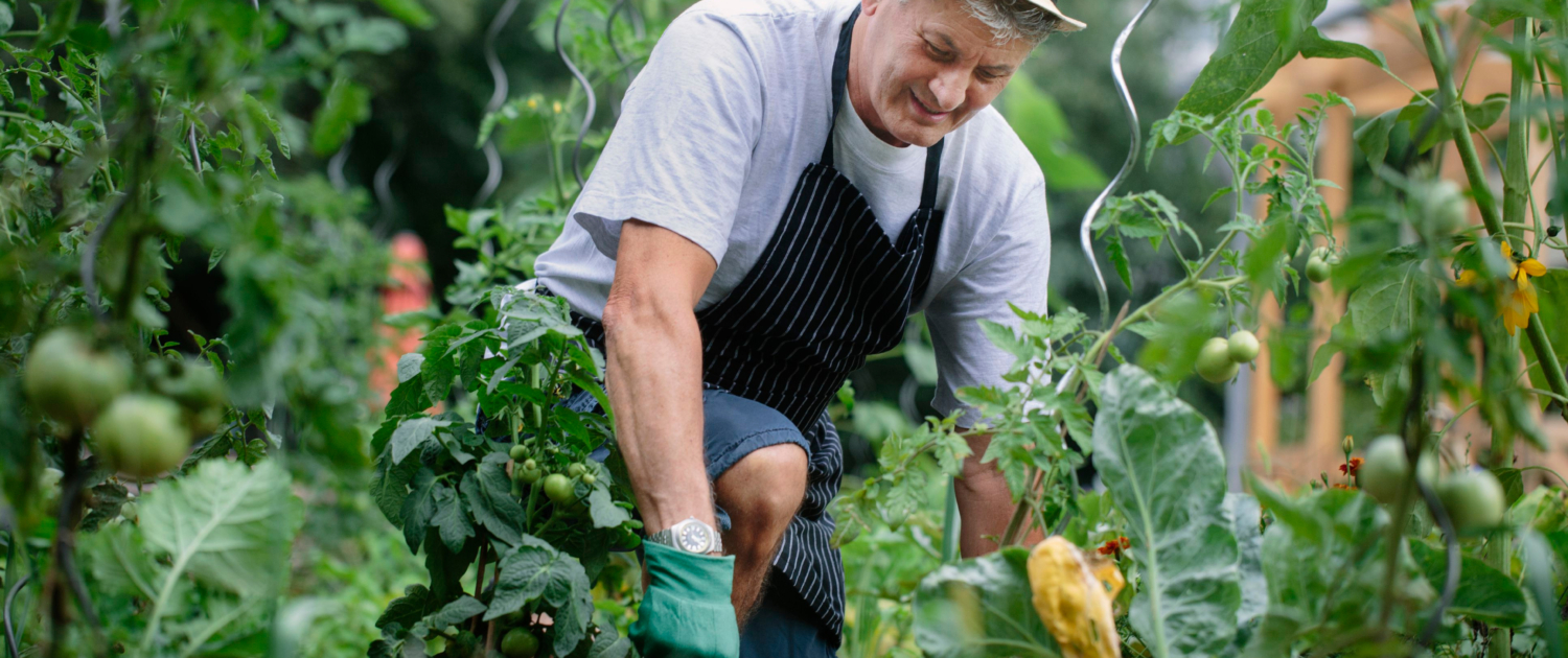 Stress Reduction and Mental Well-being