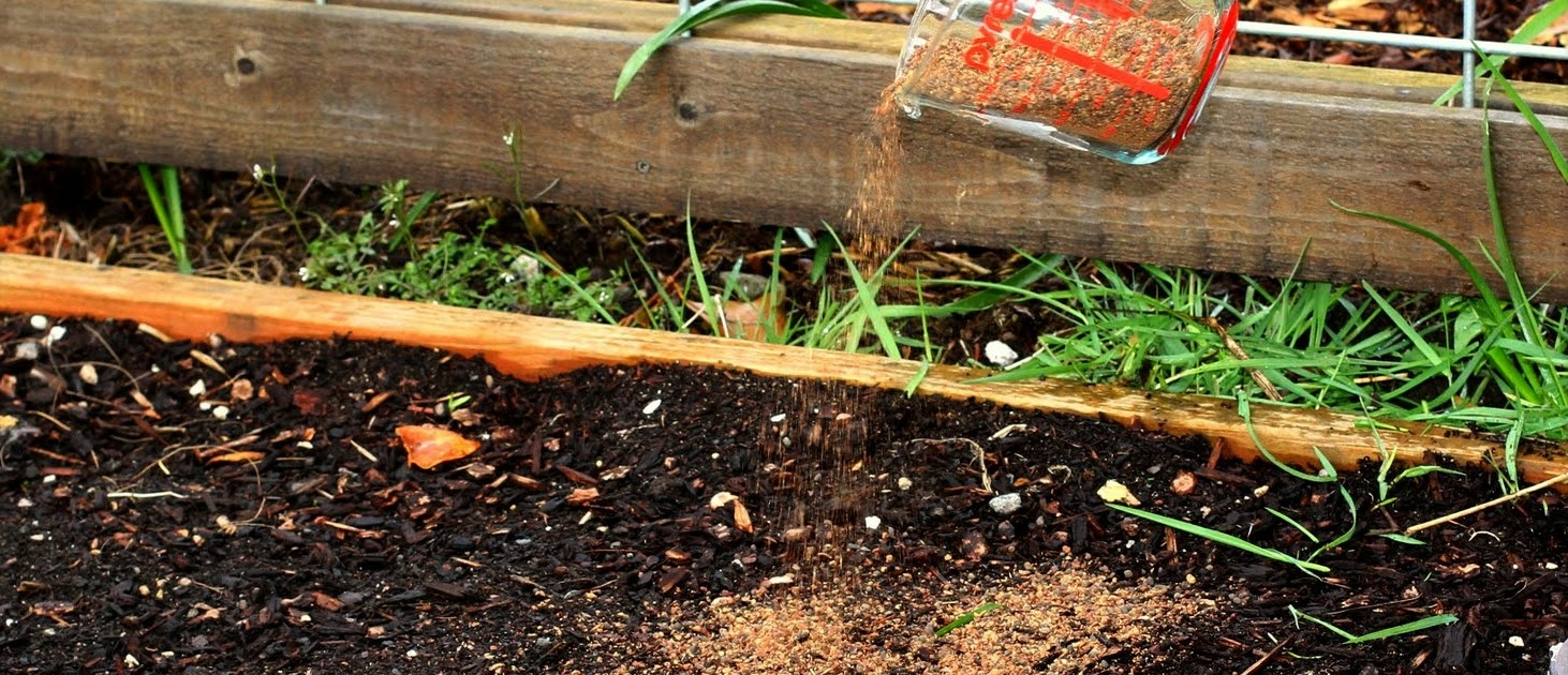 Unveiling the Benefits of Summer Fertilizing