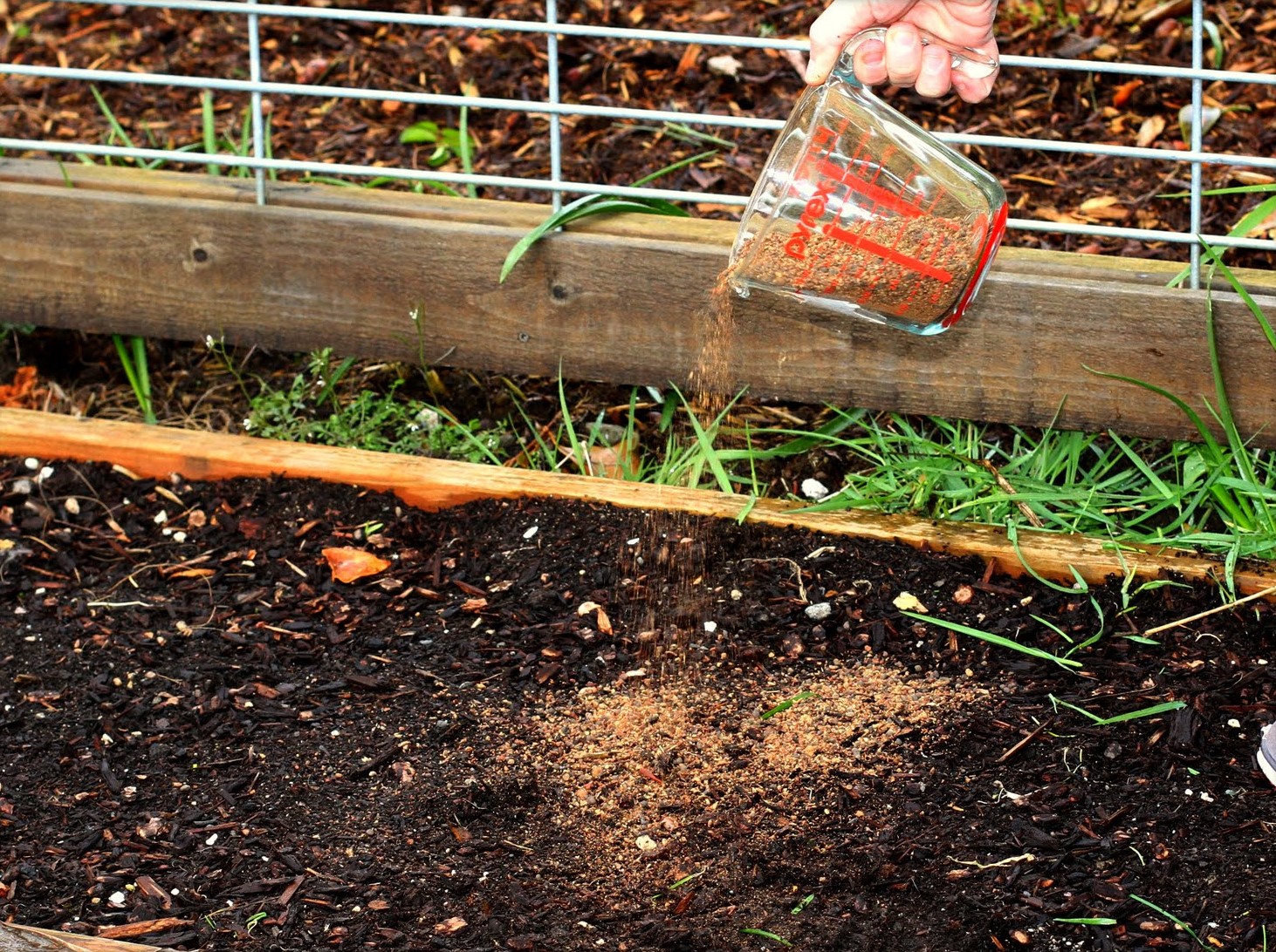 Unveiling the Benefits of Summer Fertilizing