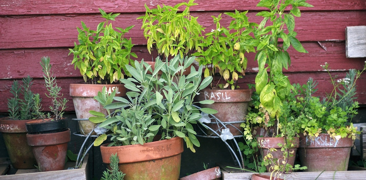 Support Organic Gardening