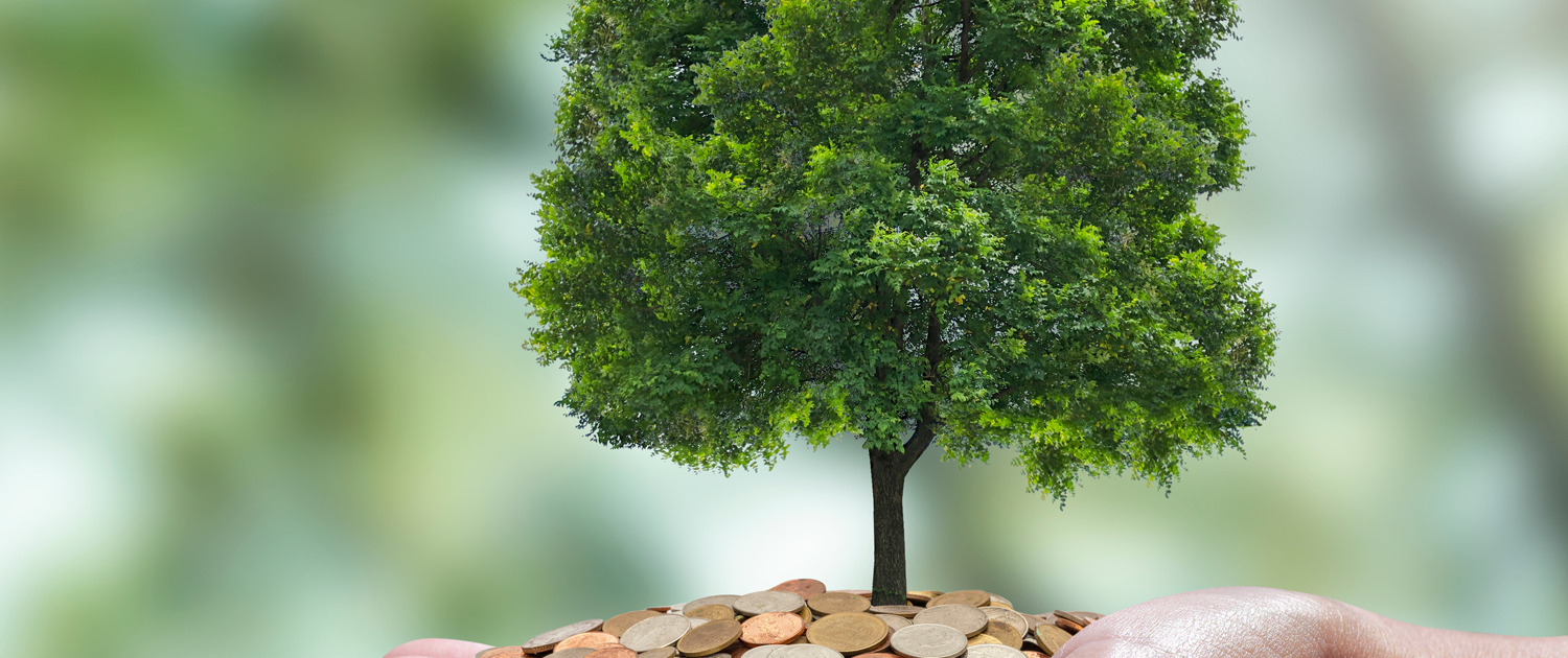 Transparency and the Budget