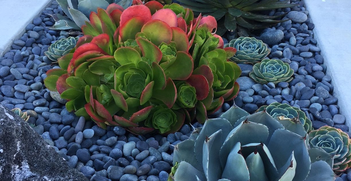 Vancouver Island Coastal Landscaping Wonders