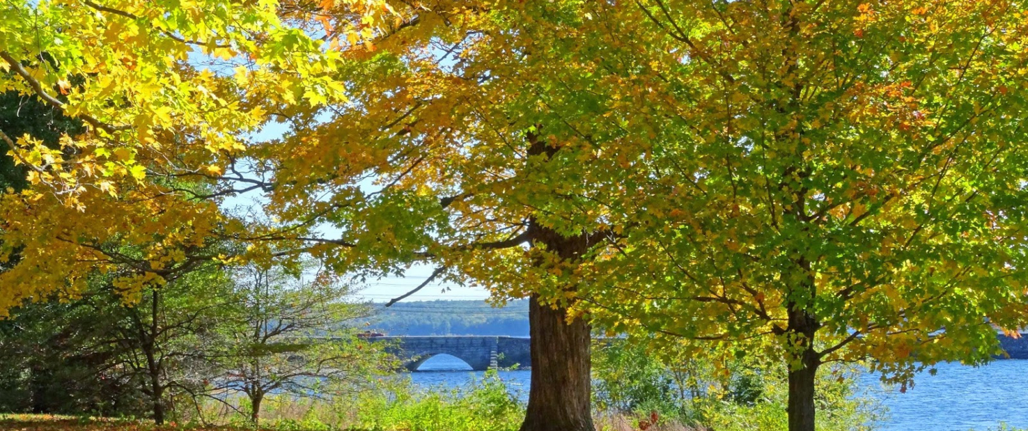 Vancouver Island: Coastal Lawn Maintenance