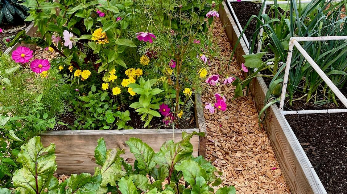 Lower Mainland Urban Garden Delights