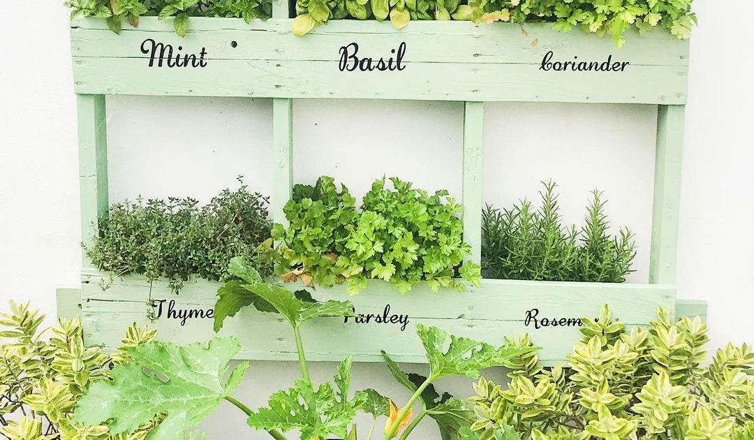 Lower Mainland Urban Indoor Garden Escapes