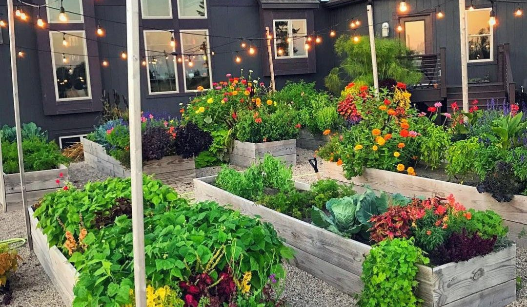 Lower Mainland Urban Oasis Creations