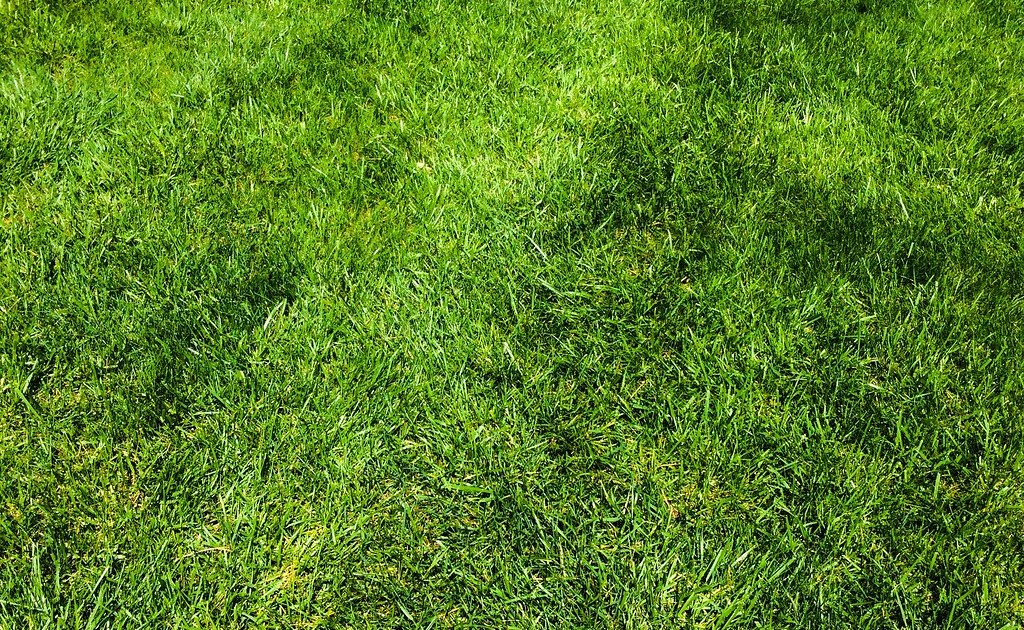 Weed Management, a Year-Round Battle