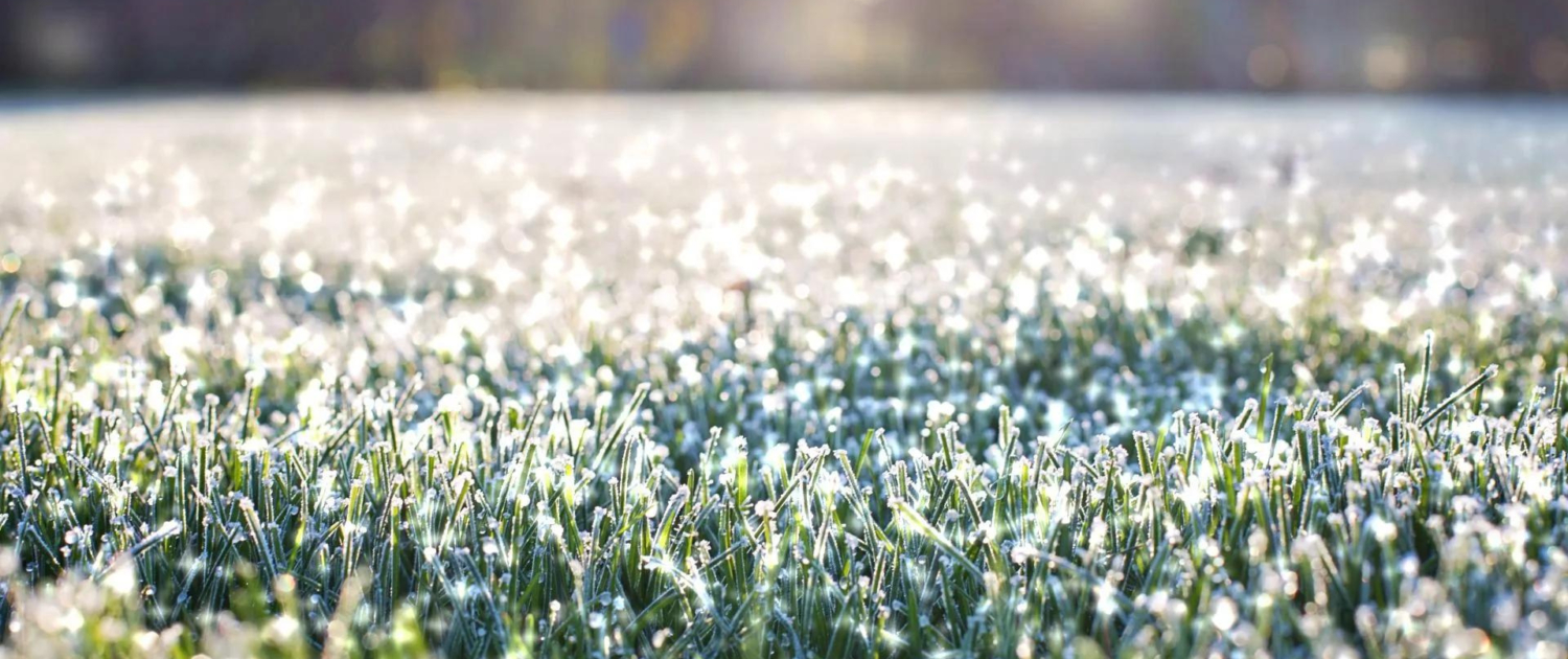 Getting Your Lawn Ready for Winter