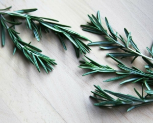 rosemary