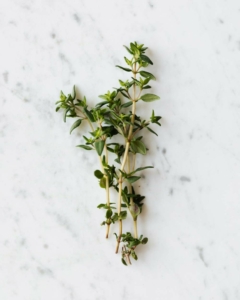 thyme