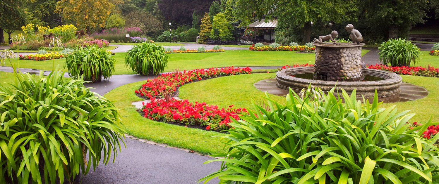 DIY Landscaping Ideas to Boost Your Curb Appeal