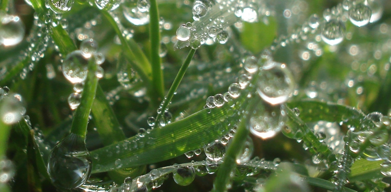 Myth #4: Mowing Should Stop in Winter