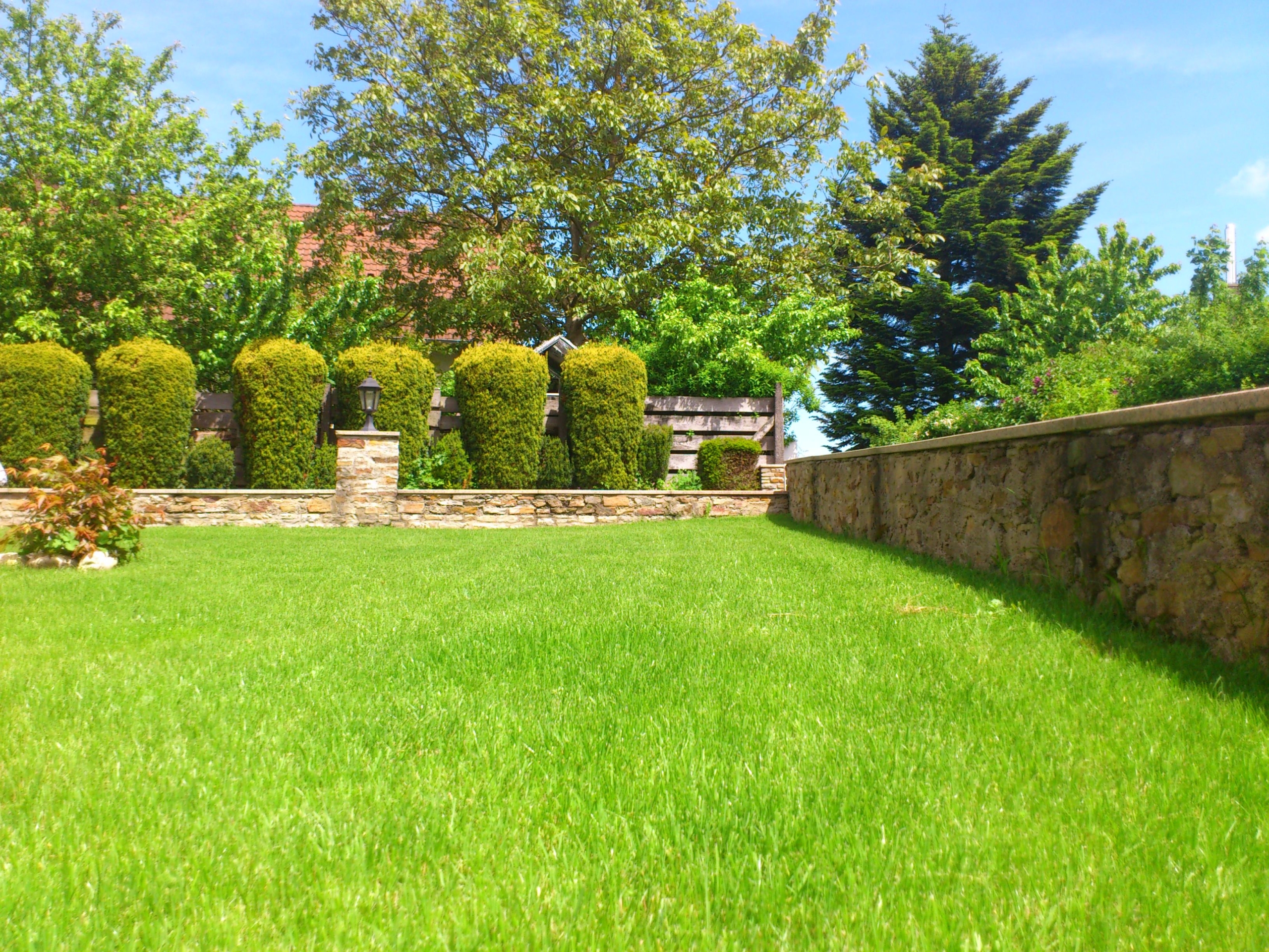 4 Reasons to Invest in Professional Lawn Mowing Services (4)