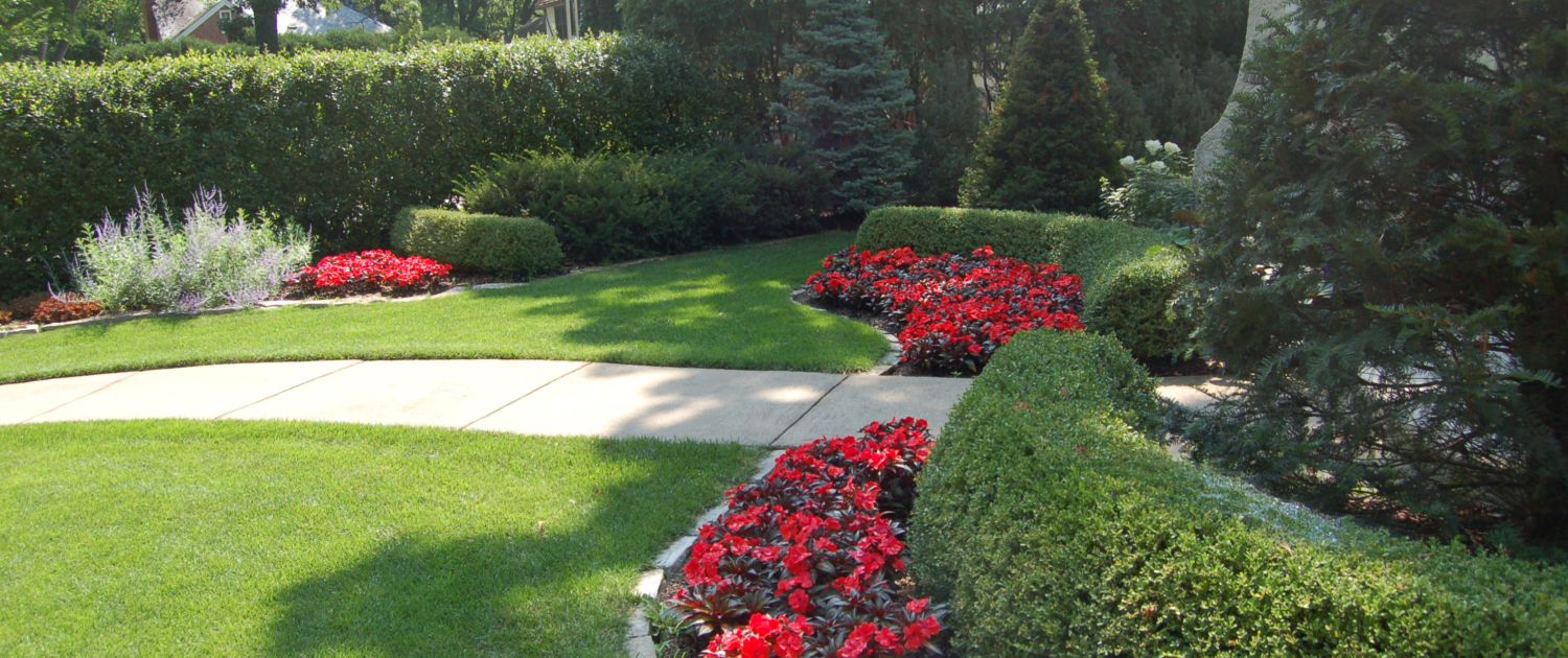 Creating a Zen Garden Tips for a Tranquil Outdoor Space (3)
