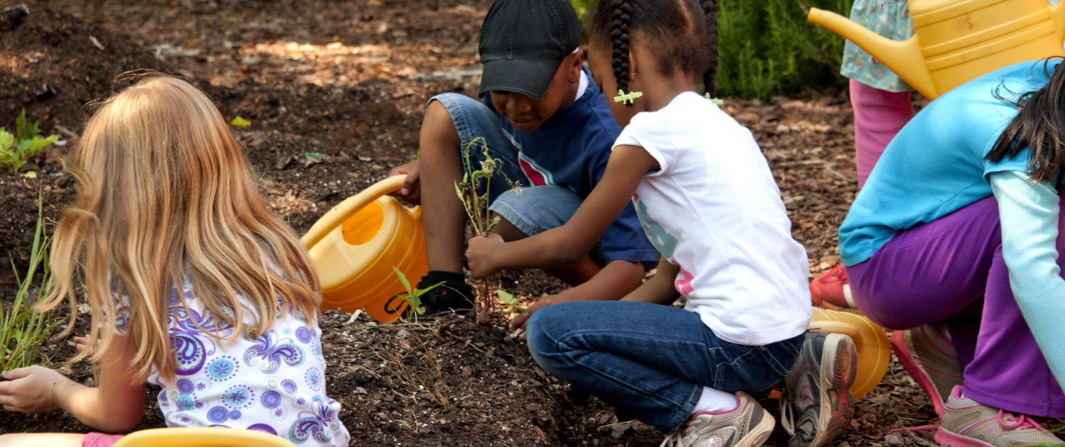 Gardening with Kids Fun Projects for Little Green Thumbs