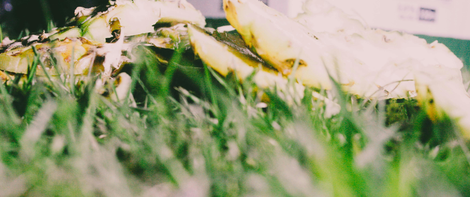 Mastering Compost Turn Kitchen Waste into Garden Gold (2)