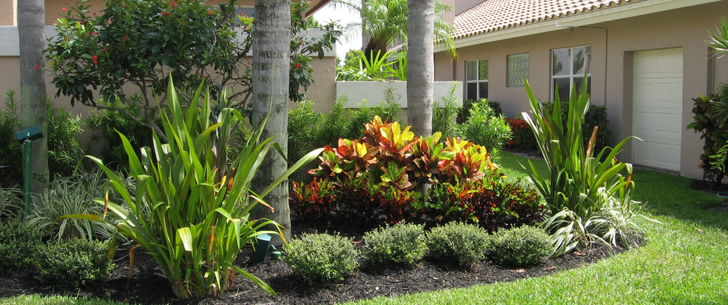 Top 10 Low-Maintenance Plants for Busy Gardeners (2)